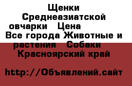 Щенки Среднеазиатской овчарки › Цена ­ 30 000 - Все города Животные и растения » Собаки   . Красноярский край